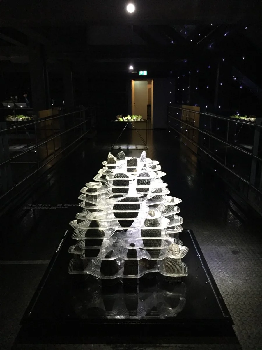 Installation view