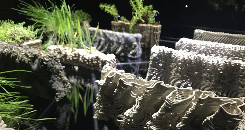 Grasses growing from the porous stones